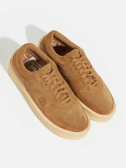 Clarks | Ford Lifestyle Sneakers For Men
